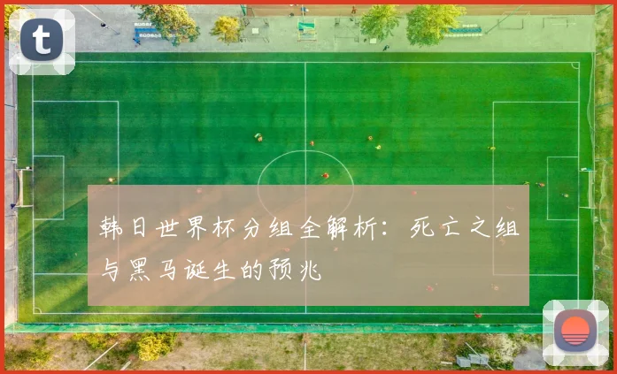 韩日世界杯分组全解析：死亡之组与黑马诞生的预兆