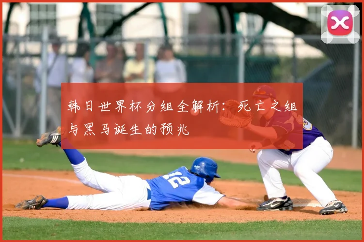 韩日世界杯分组全解析：死亡之组与黑马诞生的预兆