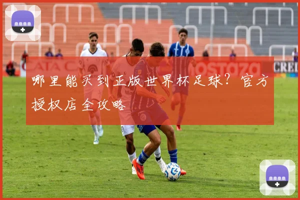 哪里能买到正版世界杯足球？官方授权店全攻略