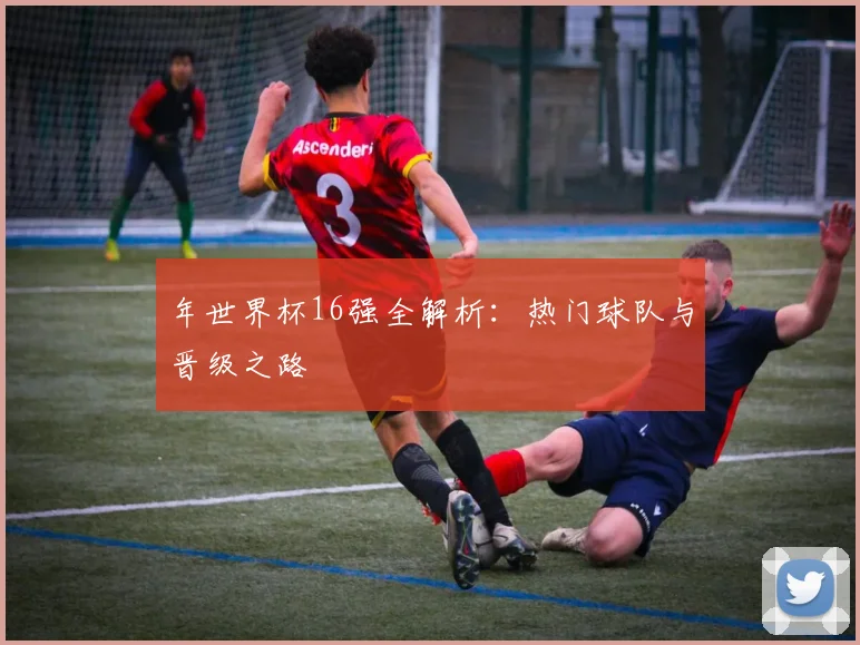 年世界杯16强全解析:热门球队与晋级之路