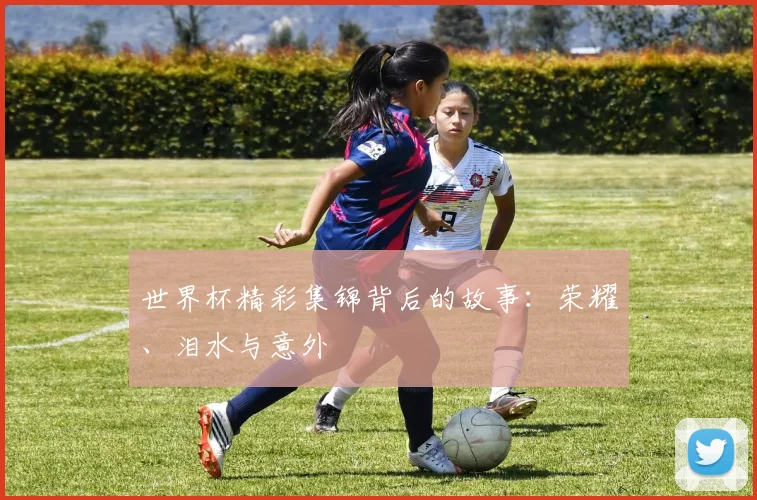 世界杯精彩集锦背后的故事：荣耀、泪水与意外
