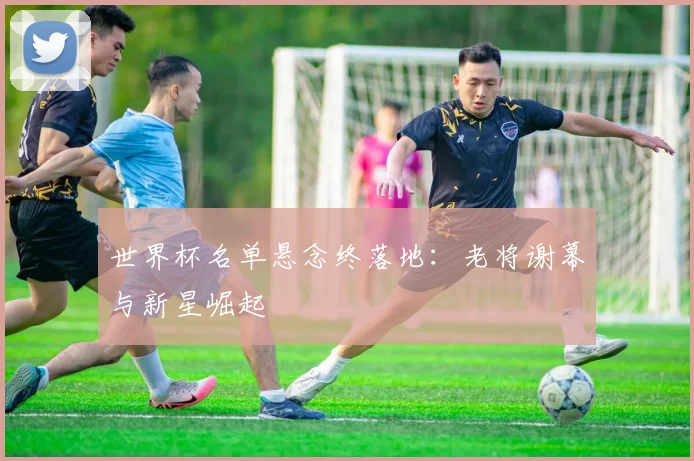 世界杯名单悬念终落地：老将谢幕与新星崛起
