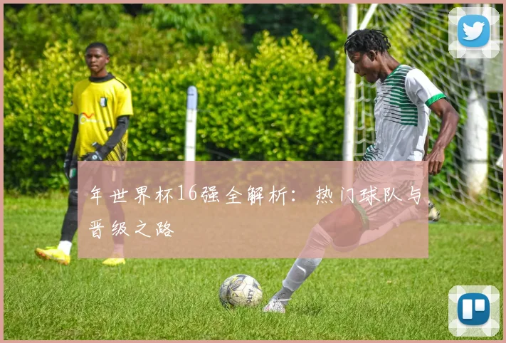 年世界杯16强全解析：热门球队与晋级之路