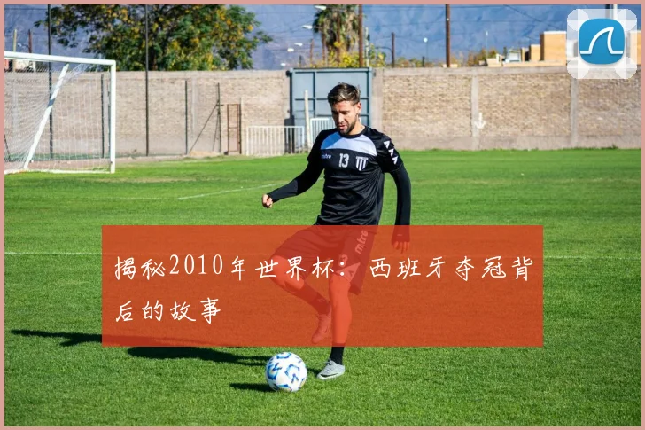 揭秘2010年世界杯：西班牙夺冠背后的故事
