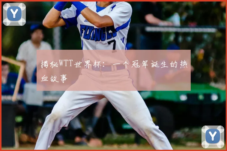 揭秘WTT世界杯:一个冠军诞生的热血故事