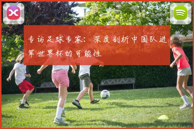 专访足球专家：深度剖析中国队进军世界杯的可能性