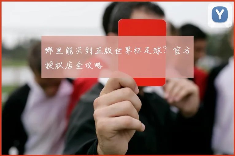 哪里能买到正版世界杯足球?官方授权店全攻略
