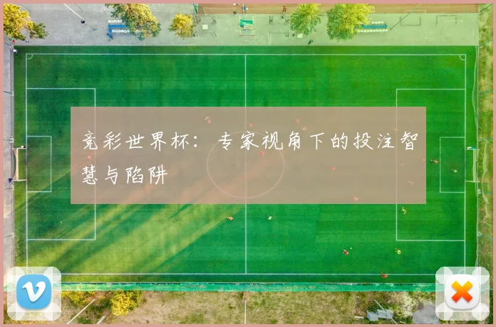 竞彩世界杯：专家视角下的投注智慧与陷阱