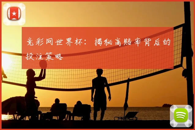 竞彩网世界杯：揭秘高赔率背后的投注策略