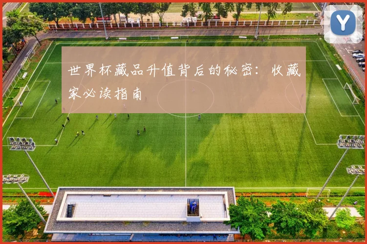 世界杯藏品升值背后的秘密:收藏家必读指南